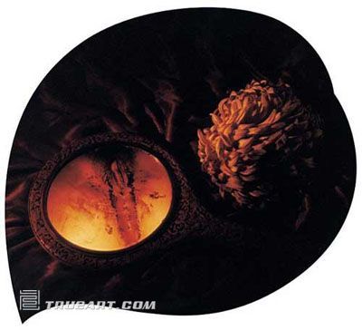 	陈羚羊《十二月花》 2002年 摄影      ,男性行为艺术在中国“女性艺术”发展中的作用,女性,马六明,女人,女性艺术,艺术在中国,男性,性别,男人,lsquo,性行为,燕元锁,沈娜,陈羚羊,肖鲁,施慧,陈庆庆,高炀,高名潞,巫鸿,廖雯,罗中立,苍鑫,潘玉良,马六明,姜杰,喻红,陈丹青,张洹,蔡锦,徐悲鸿,刘丽萍,徐晓燕,周思聪,王霞,崔岫闻