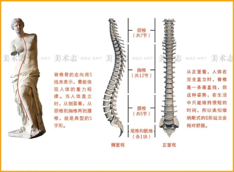 把它画好,你的速写就成功一半!,速写,重心,动态,人体,人物,动势,部位,动作,坐姿,肘关节