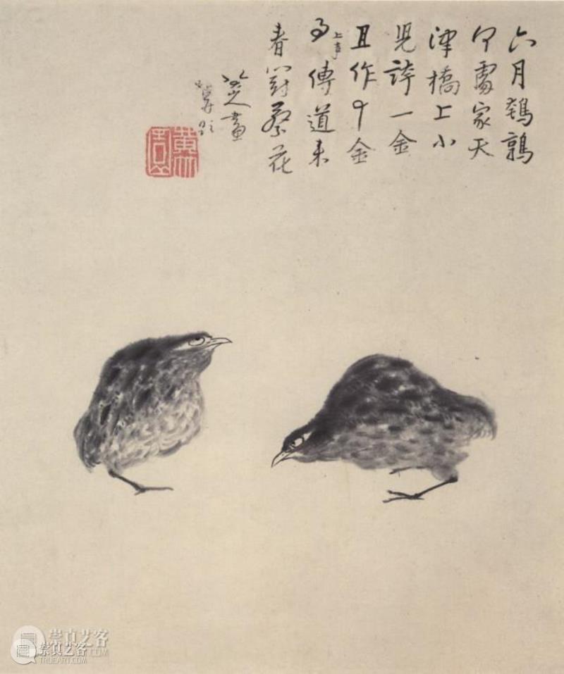 清 八大山人 《花鸟画册二之六月鹌鹑》上海博物馆藏,明皇世孙避难为僧，画出世上最贵鱼和鸟,朱耷,八大山人,笔墨,石涛,吴昌硕,书画,遗民,南昌