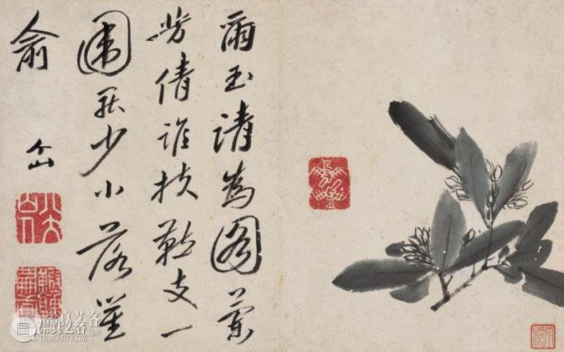 清 八大山人《个山杂画册》册页,明皇世孙避难为僧，画出世上最贵鱼和鸟,朱耷,八大山人,笔墨,石涛,吴昌硕,书画,遗民,南昌