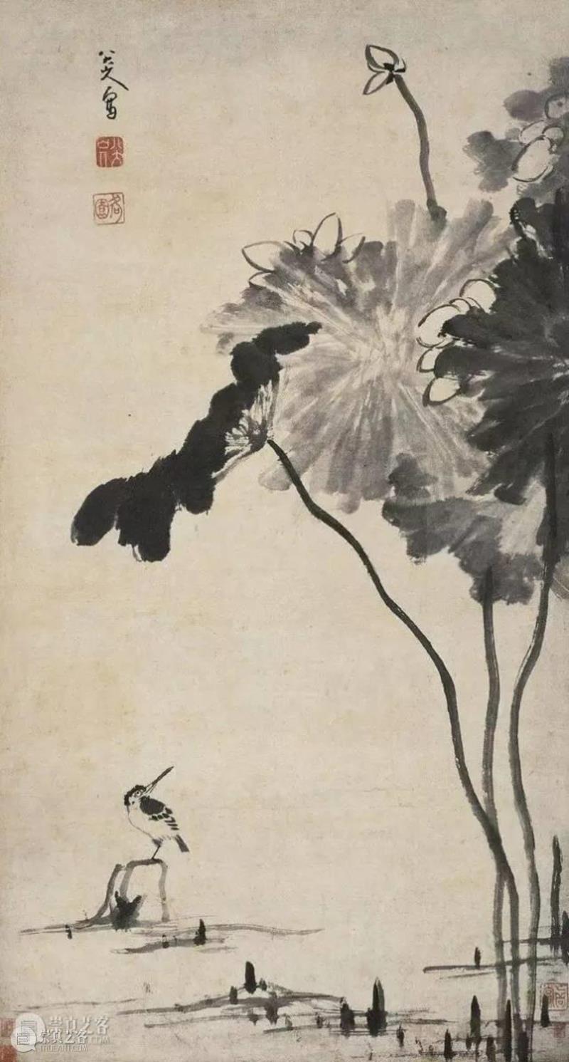 清 八大山人 《荷花翠鸟图》 立轴 水墨纸本 ,明皇世孙避难为僧，画出世上最贵鱼和鸟,朱耷,八大山人,笔墨,石涛,吴昌硕,书画,遗民,南昌