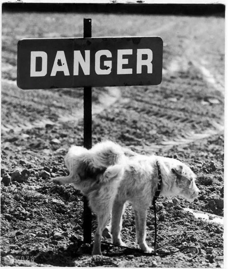 如果艺术能教给人什么东西,那便是孤独。,美学,政治,诗人,诗歌,文学,散文,俄国,俄语,布罗茨基,一个人