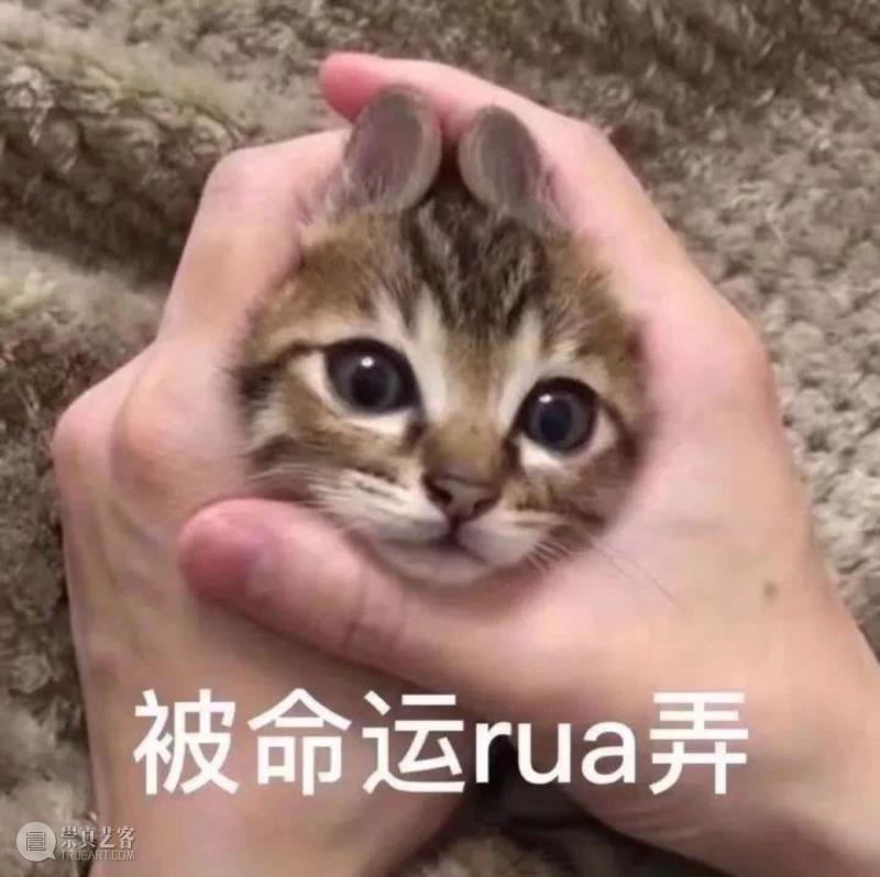 专辑 ▎继《流浪地球》之后，《流浪作业》火了：作业写不完，开学两行泪……,作业,流浪地球,专辑,流浪作业,学渣,学霸,妈妈,智能,假期,爸妈