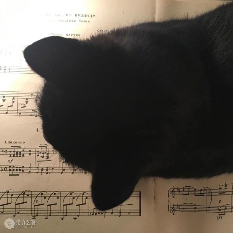 绘画丨五线谱上的欢乐故事,五线谱,绘画,乐章,卫荣,音符,Erlich,版式,上方,右上,Lena