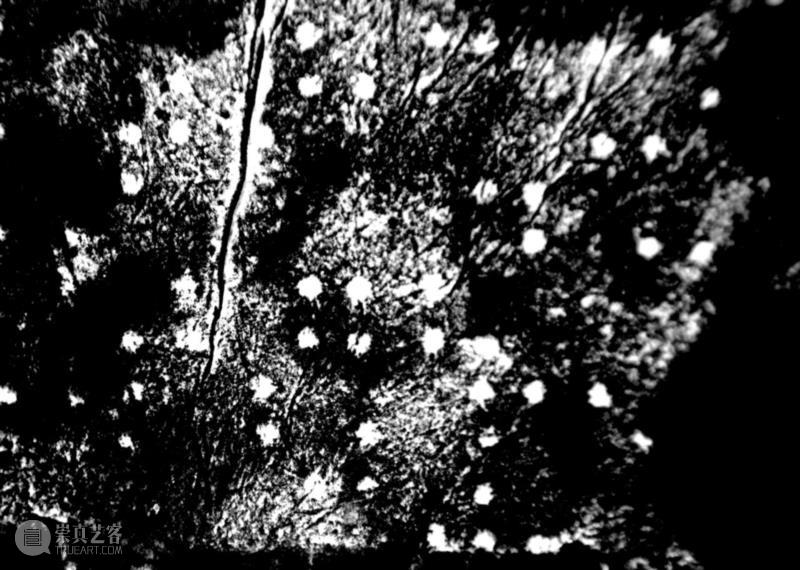 作品局部,人可谈|击打与叩问：在通向艺术的途中,途中,李秀勤,李老师,泉子,文明,里面,文学,学NO,诗人,汉语