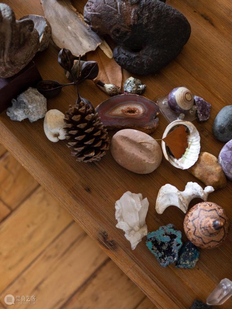 ▲&nbsp;乌尔塔多的咖啡桌上码放着自然物：硕大的松塔，一只固定在树脂中的狼蛛，银杏叶，不同动物的