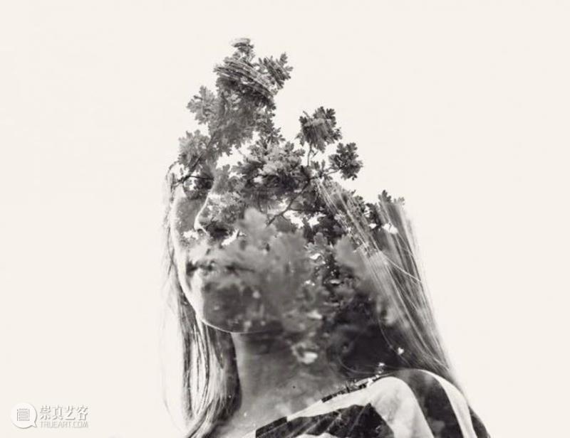 【IFA-艺术赏析】?“ 我”?“我们