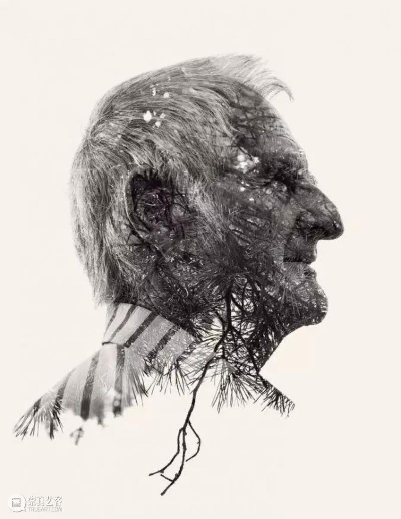 【IFA-艺术赏析】?“ 我”?“我们