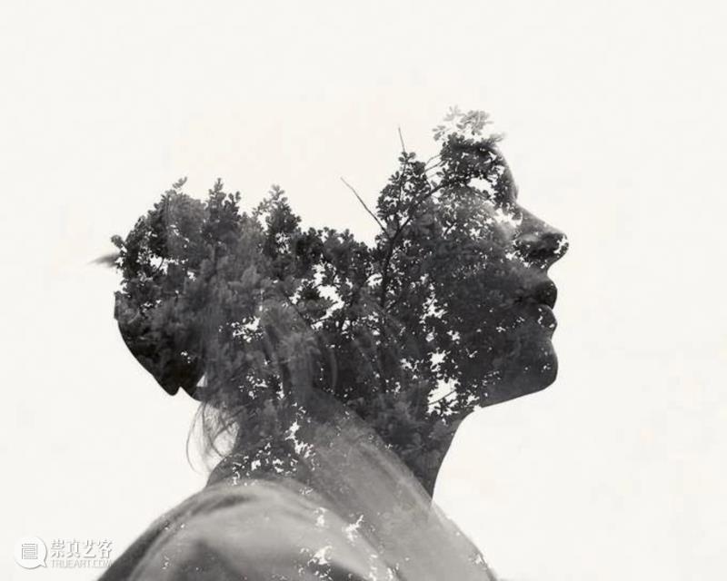 【IFA-艺术赏析】?“ 我”?“我们