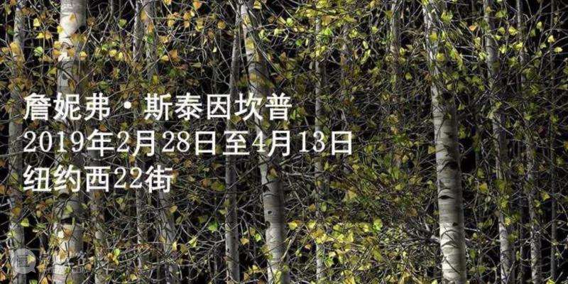 “美国公民的叙事“：艺术家纳利·华德（Nari Ward）纽约新美术馆个展——We the People,公民,纳利·华德,Ward,纽约新美术馆,华德,纳利,美术馆,香港,首尔,婴儿车