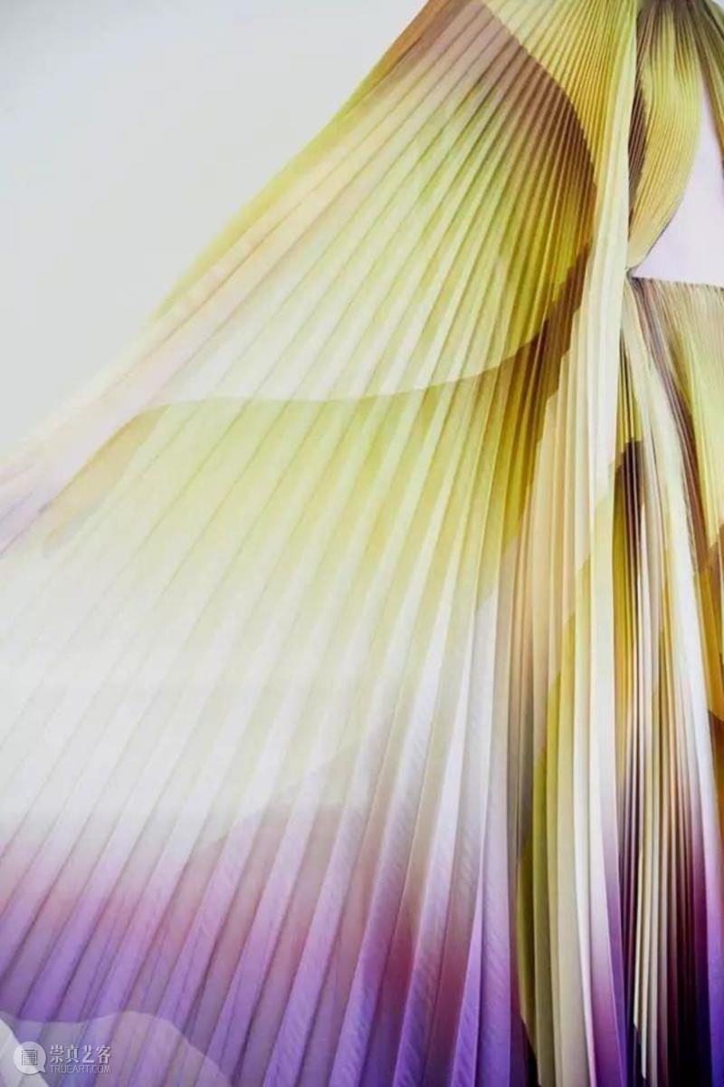 Photography by Molly Sj Lowe,看荷兰鬼才设计师如何在秀场呈现“灵魂转移”,设计师,荷兰,鬼才,秀场,Herpen,时装,品牌,大秀,Souls,衣服