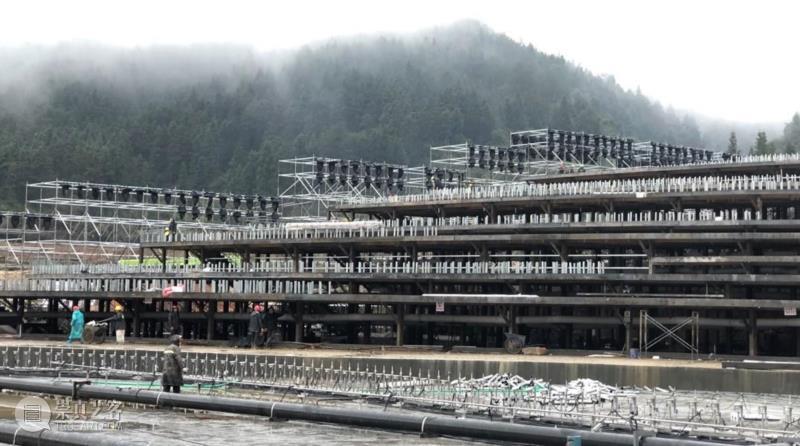 秀赏丨独具特色的春晚舞台，大型实景演出惊艳全场,舞台,春晚,特色,实景,秀赏丨,全场,井冈山,会场,灯光,节目