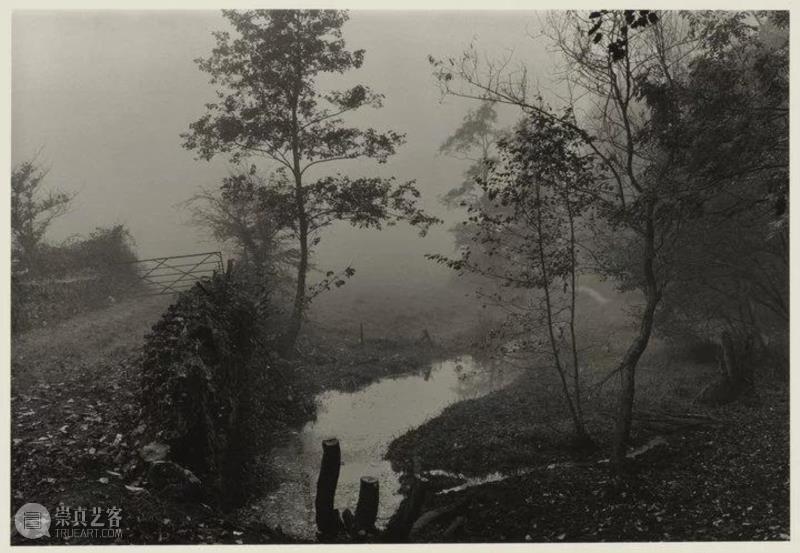 ▲ 唐·麦克库林,《我家附近的树林》,拍摄于1991年代,泰特现代美术馆于2012年购入,