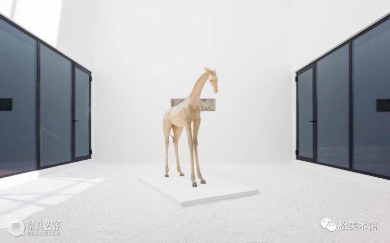 「松」重要通知 | 松美术馆闭馆公告,松美术馆,通知,日期,展讯,第一时间,花絮