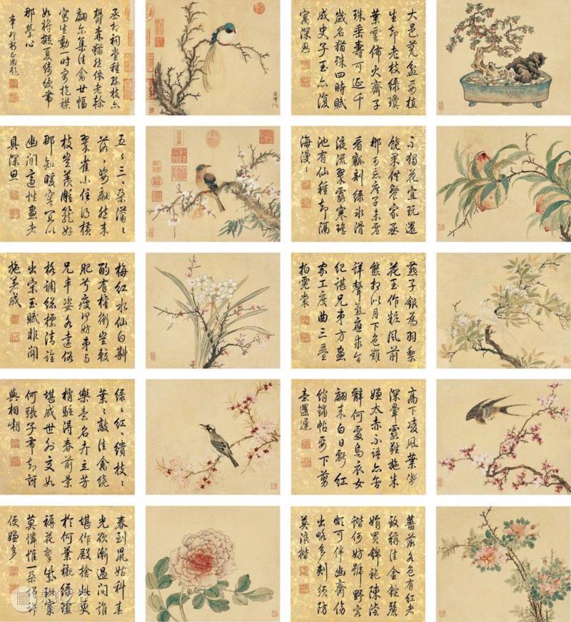 王穀祥《花鸟册页》18开,圣佳讲堂丨宝珠重耀炫烨光—乾隆对题王榖祥绘十八开《花鸟册页》赏析,乾隆,王榖祥,圣佳,讲堂,宝珠,耀炫烨光,花鸟册页,册页,花鸟,王氏