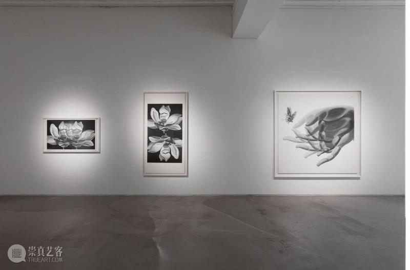 新春祝福 | 十个展览回顾亚洲艺术中心的2018,亚洲艺术中心,新春,绘画,马树青,陈琦,杭春晖,李真,台北,版画,佛教