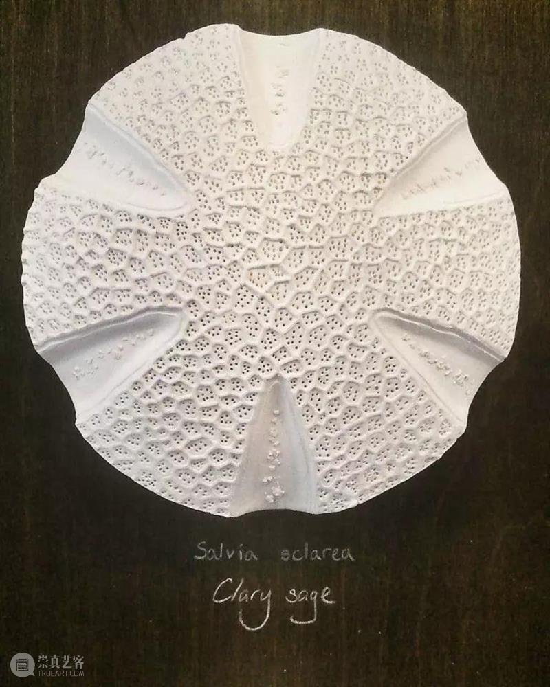 【IFA-艺术赏析】Anna Whitehouse 的黏土Inktober挑战!100天到底可以改变些什么?,Whitehouse,黏土,IFA,Anna,图案,粘土,英国,陶瓷,哈罗盖特,Harrogate