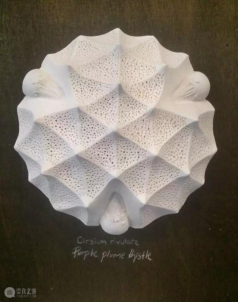 【IFA-艺术赏析】Anna Whitehouse 的黏土Inktober挑战!100天到底可以改变些什么?,Whitehouse,黏土,IFA,Anna,图案,粘土,英国,陶瓷,哈罗盖特,Harrogate