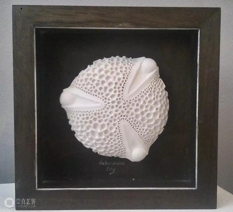 【IFA-艺术赏析】Anna Whitehouse 的黏土Inktober挑战!100天到底可以改变些什么?,Whitehouse,黏土,IFA,Anna,图案,粘土,英国,陶瓷,哈罗盖特,Harrogate