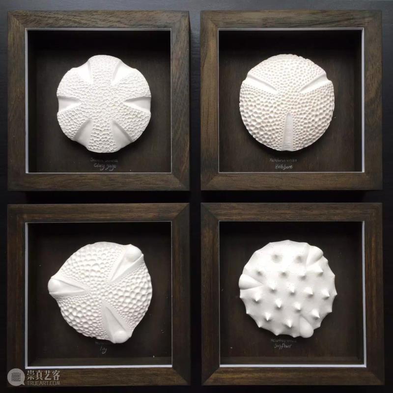 【IFA-艺术赏析】Anna Whitehouse 的黏土Inktober挑战!100天到底可以改变些什么?,Whitehouse,黏土,IFA,Anna,图案,粘土,英国,陶瓷,哈罗盖特,Harrogate