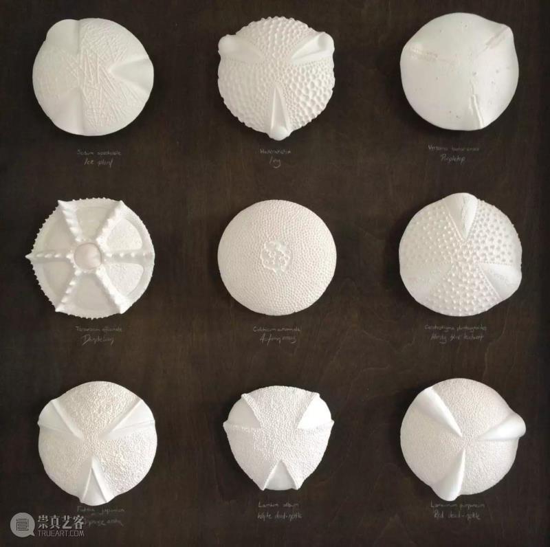 【IFA-艺术赏析】Anna Whitehouse 的黏土Inktober挑战!100天到底可以改变些什么?,Whitehouse,黏土,IFA,Anna,图案,粘土,英国,陶瓷,哈罗盖特,Harrogate