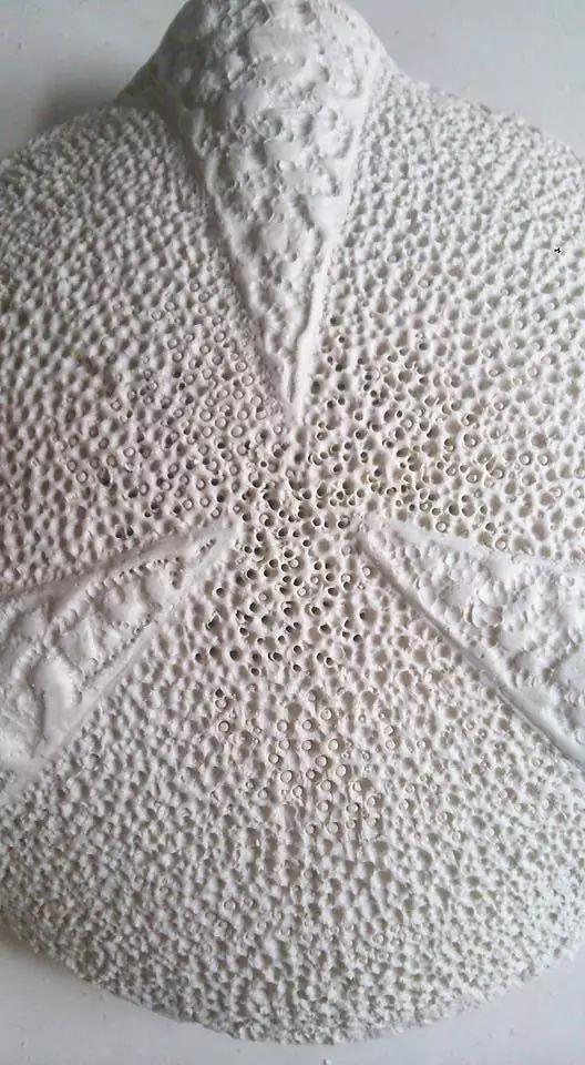 【IFA-艺术赏析】Anna Whitehouse 的黏土Inktober挑战!100天到底可以改变些什么?,Whitehouse,黏土,IFA,Anna,图案,粘土,英国,陶瓷,哈罗盖特,Harrogate