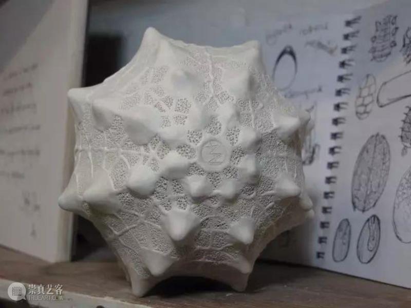 【IFA-艺术赏析】Anna Whitehouse 的黏土Inktober挑战!100天到底可以改变些什么?,Whitehouse,黏土,IFA,Anna,图案,粘土,英国,陶瓷,哈罗盖特,Harrogate