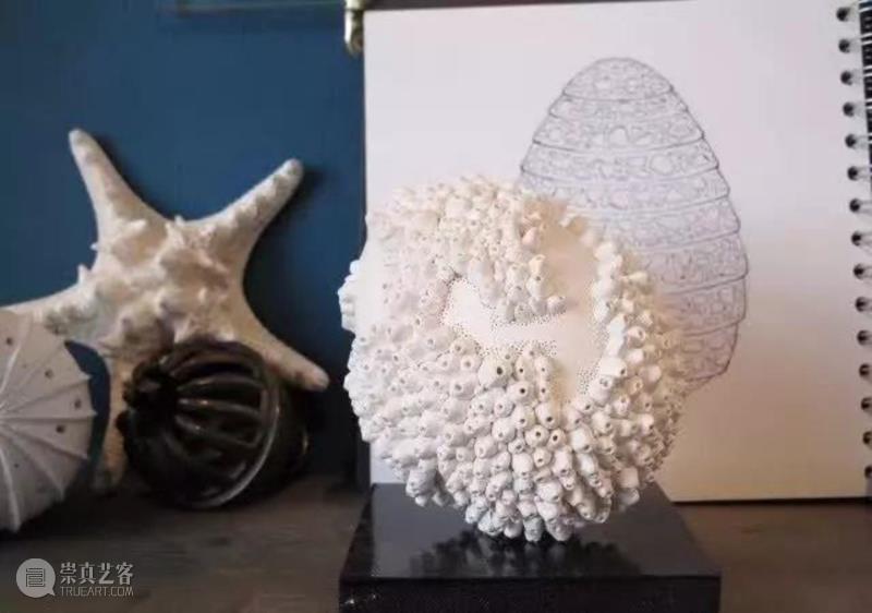 【IFA-艺术赏析】Anna Whitehouse 的黏土Inktober挑战!100天到底可以改变些什么?,Whitehouse,黏土,IFA,Anna,图案,粘土,英国,陶瓷,哈罗盖特,Harrogate