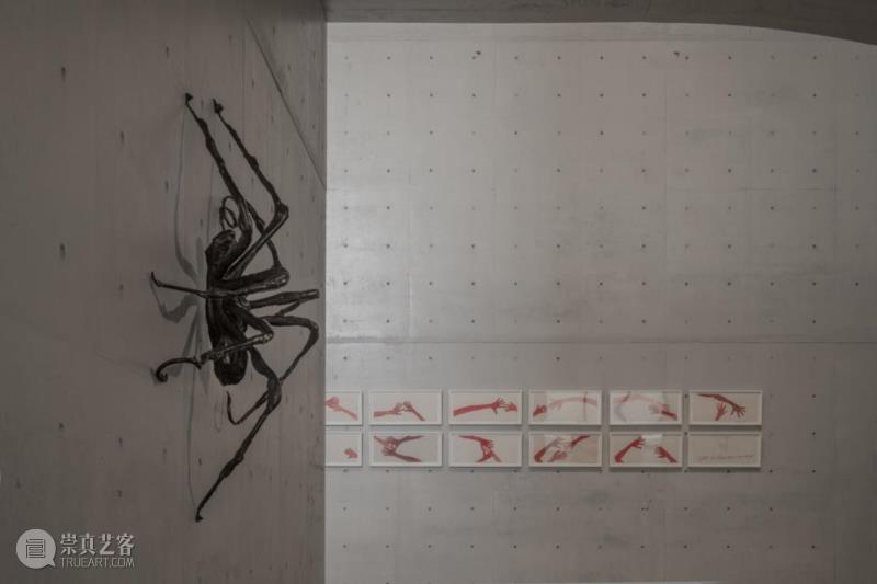 LONG玩艺儿 | 路易丝·布尔乔亚为什么喜欢蜘蛛?,蜘蛛,LONG,玩艺儿,路易丝·布尔乔亚,展期,布尔乔亚,路易丝,雕塑,丝线,挂毯