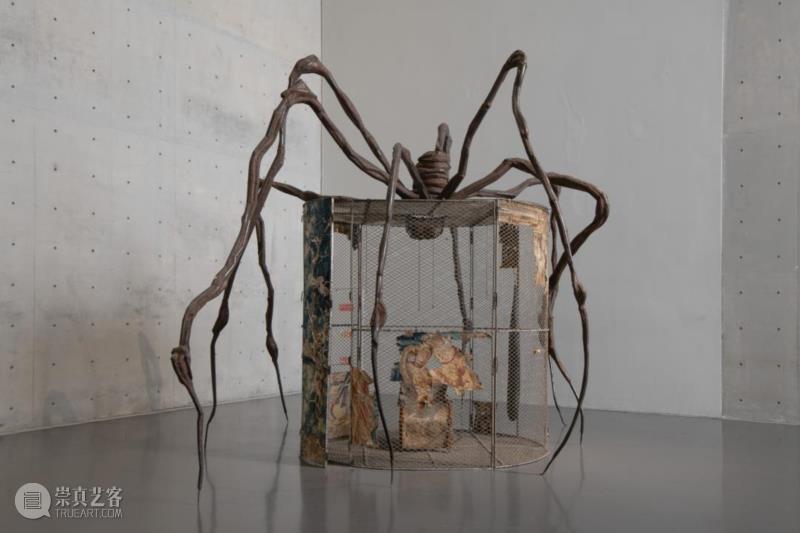 LONG玩艺儿 | 路易丝·布尔乔亚为什么喜欢蜘蛛?,蜘蛛,LONG,玩艺儿,路易丝·布尔乔亚,展期,布尔乔亚,路易丝,雕塑,丝线,挂毯