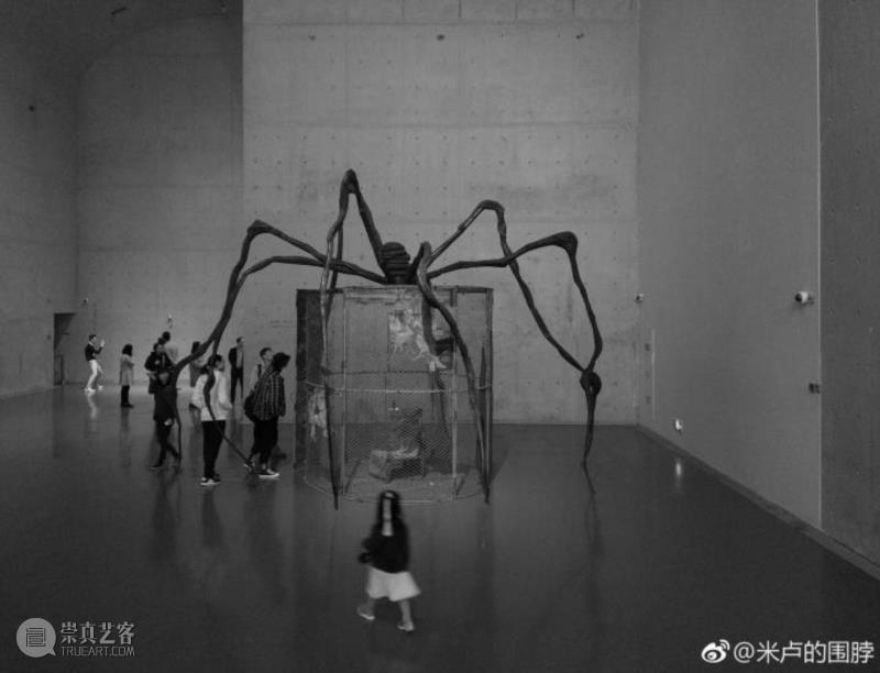 LONG玩艺儿 | 路易丝·布尔乔亚为什么喜欢蜘蛛?,蜘蛛,LONG,玩艺儿,路易丝·布尔乔亚,展期,布尔乔亚,路易丝,雕塑,丝线,挂毯