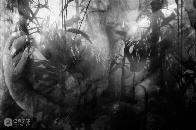 唐人曼谷 | 黎光顶个展 “净土” 1月12日开幕,净土,曼谷,唐人,越南,黎光,黎光顶,战争,日本,Thailand,东南亚