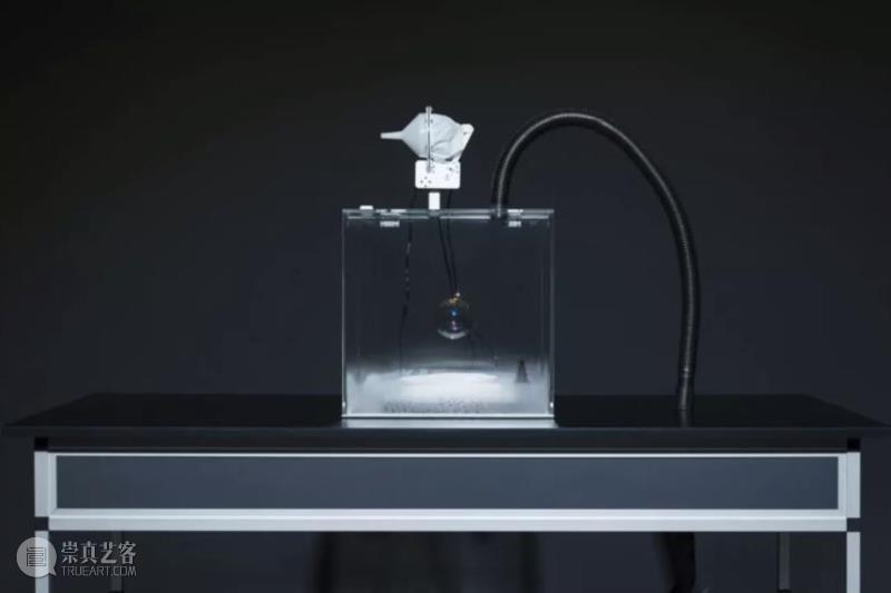 上海1月 | 7个不可错过新媒体艺术展,新媒体,艺术展,影像,装置,简介,宇宙,媒体,昊美术馆,科技,青年