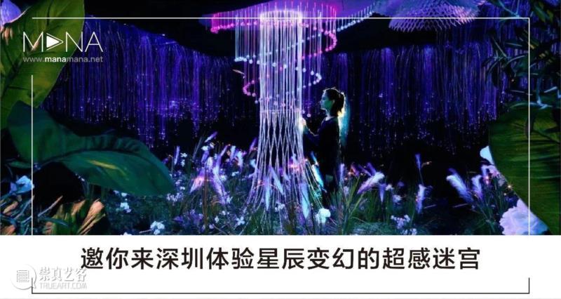 上海1月 | 7个不可错过新媒体艺术展,新媒体,艺术展,影像,装置,简介,宇宙,媒体,昊美术馆,科技,青年