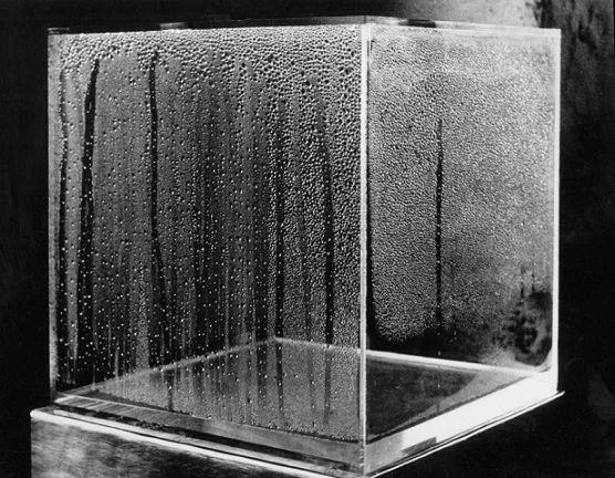 汉斯·哈克 /《冷凝的立方体》/ 1965 ,露西·利帕德、约翰·钱德勒 | 艺术的去物质化(节选)