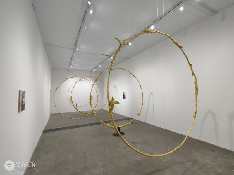 Gladstons Gallery 格莱斯顿画廊 .jpeg