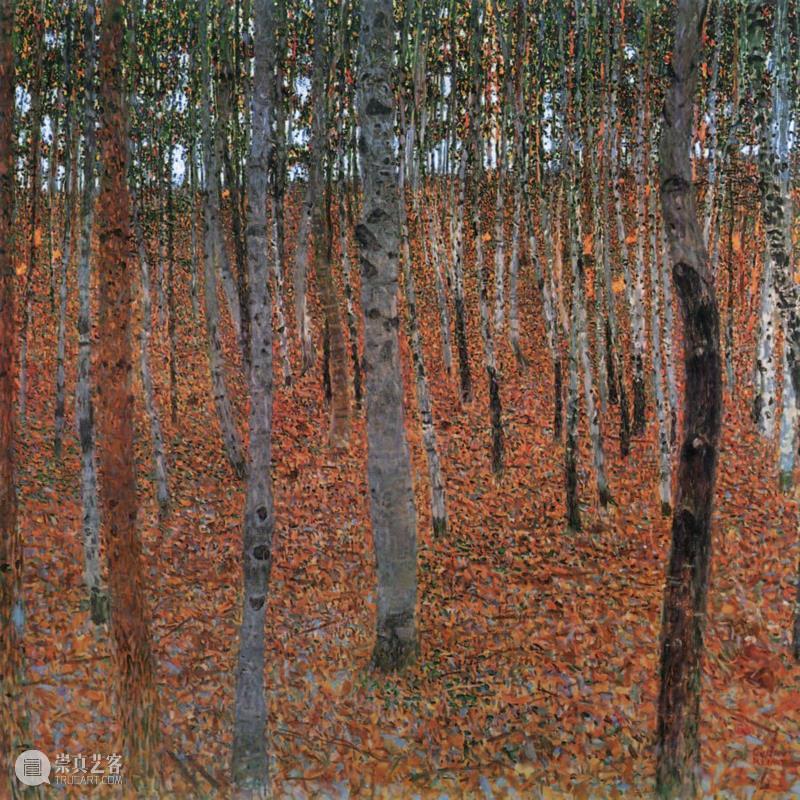 Gustav Klimt, Forest of Beech Trees, 1902. Dresden, Galerie Neue..jpg