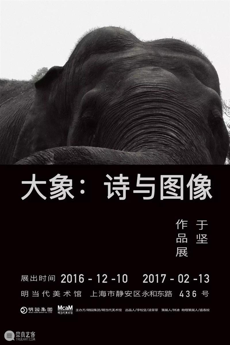 美术馆 发布了 文章 mcam 再读系列丨"大象:诗与图像—于坚作品展"