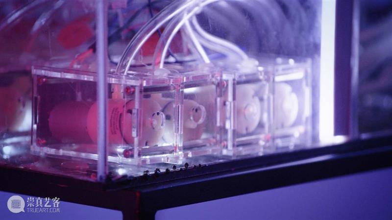 6月盘点全球新媒体艺术 博文精选 MANA 新媒体 艺术 全球 特性 现代 生活 领域 科技 行业 媒体 崇真艺客