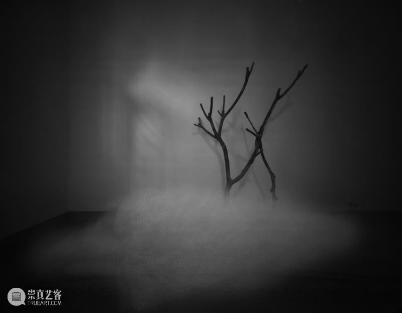 郭国柱⎜无人居住之地，终会被自然所占据 博文精选 木格堂 郭国柱 自然 以来 中国 进程 后果 农村 乡村 地方 光棍村 崇真艺客