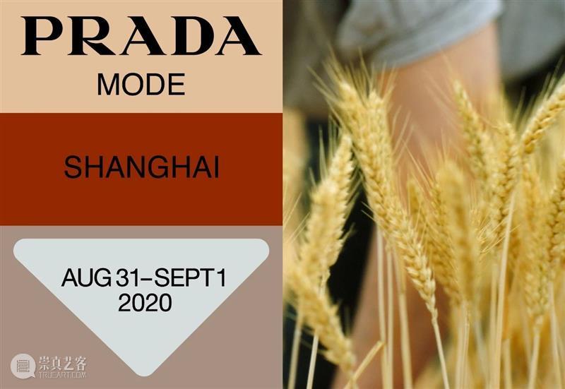 Newsstand168 | 未来电影院与图书馆，已经到来 热点聚焦 文化力研究所 图书馆 电影院 未来 经典 创意 商业 文化 资讯 动态 一早 崇真艺客