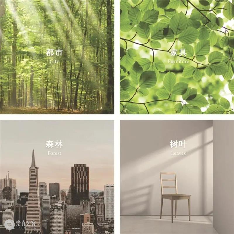 我的建筑与自然 | 藤本壮介在2019深双 博文精选 深港双城双年展 藤本壮介 建筑 深圳 灵感 日本 新生代 建筑师 翘楚 藤本 其后 崇真艺客