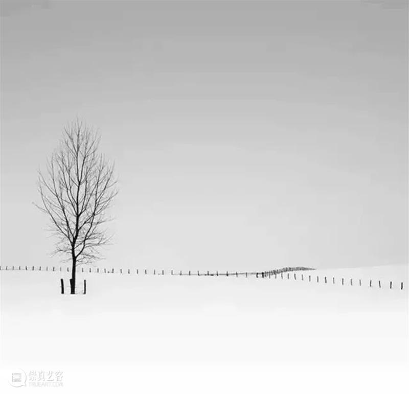 黑白摄影充满着魅力！  大督摄影VIP 魅力 黑白 画面 摄体 层次 质感 记录 同时 作品 摄影家 崇真艺客