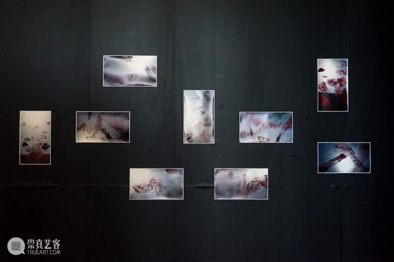 展览现场 |  “王璜生：呼/吸”龙美术馆开展 - 危机研讨 久别重逢 王璜生 龙美术馆 现场 危机 策展人 顾铮 西岸 展厅 上海徐汇区 龙腾大道3398号 崇真艺客