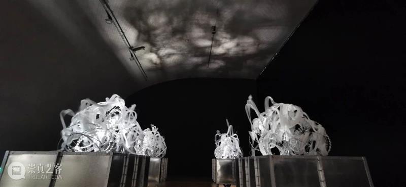 展览现场 |  “王璜生：呼/吸”龙美术馆开展 - 危机研讨 久别重逢 王璜生 龙美术馆 现场 危机 策展人 顾铮 西岸 展厅 上海徐汇区 龙腾大道3398号 崇真艺客