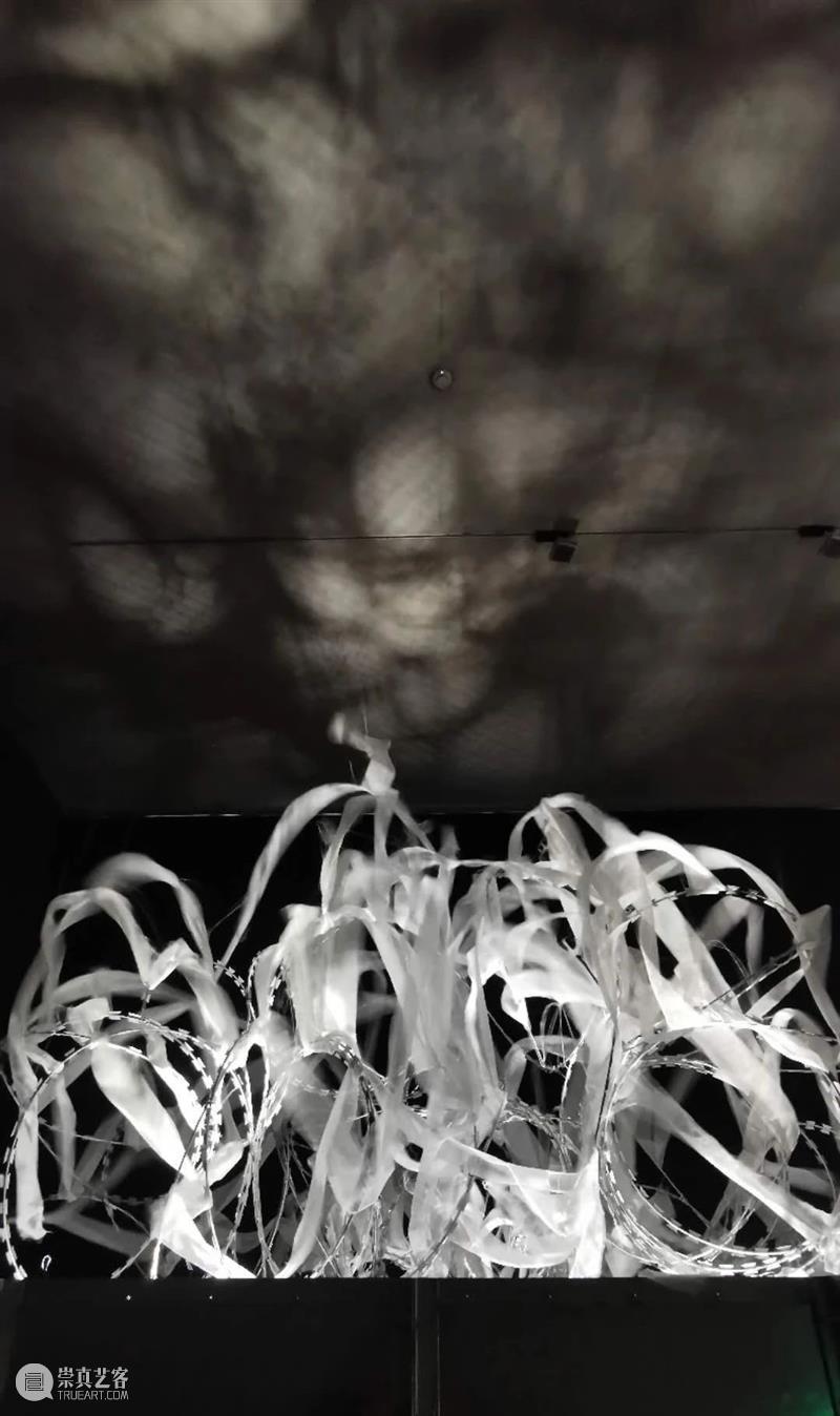 展览现场 |  “王璜生：呼/吸”龙美术馆开展 - 危机研讨 久别重逢 王璜生 龙美术馆 现场 危机 策展人 顾铮 西岸 展厅 上海徐汇区 龙腾大道3398号 崇真艺客