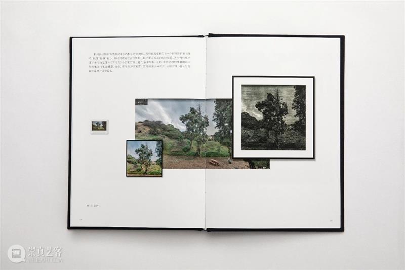出版  | 《中国当代摄影图录：李舜》 中国 图录 李舜 摄影家 刘铮 浙江摄影出版社 个体 案例 全景 画卷 崇真艺客