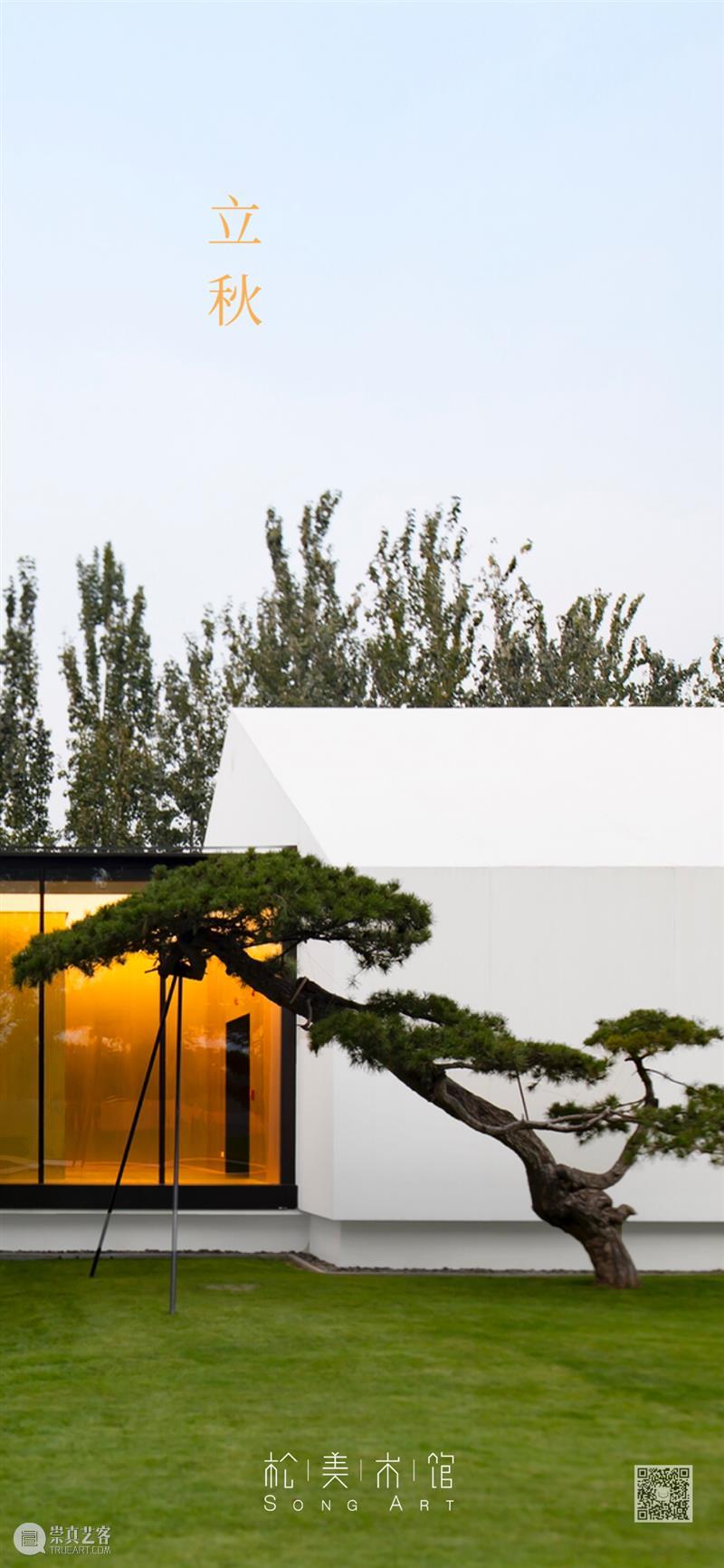 立秋 立秋 雨荷 松美术馆 当前 日期 展期 情况 官方 通知 时间 崇真艺客