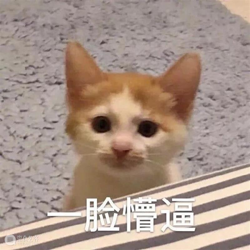 陈坤周迅新片曝光预告;《信条》《小妇人》官宣定档 新片 信条 小妇人 陈坤 周迅 官宣 影视 好剧 小豆 诺兰 崇真艺客