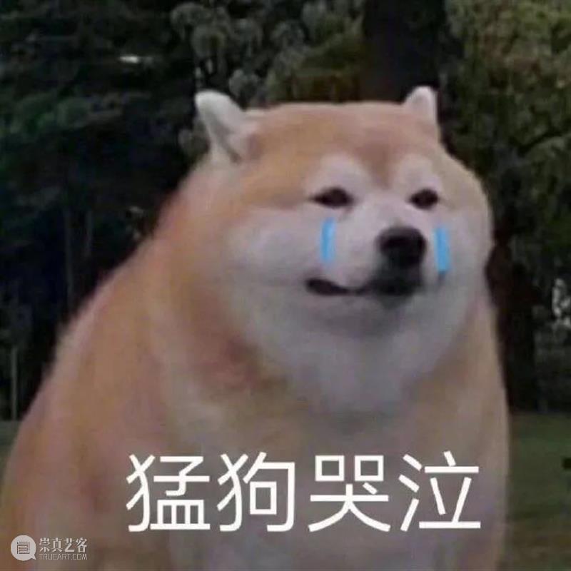陈坤周迅新片曝光预告;《信条》《小妇人》官宣定档 新片 信条 小妇人 陈坤 周迅 官宣 影视 好剧 小豆 诺兰 崇真艺客